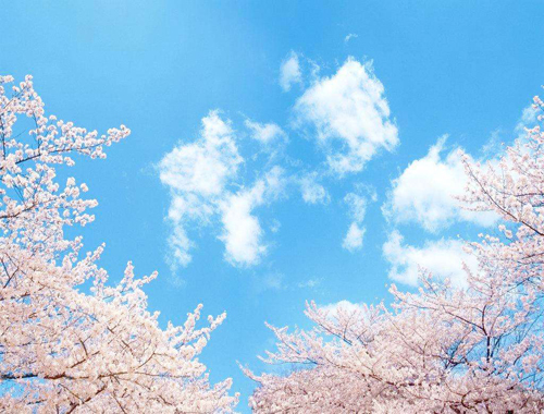 除塵器換布袋我們更專業 除塵器換布袋我們更專業